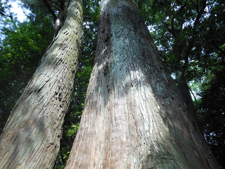 c0206177_837732.jpg