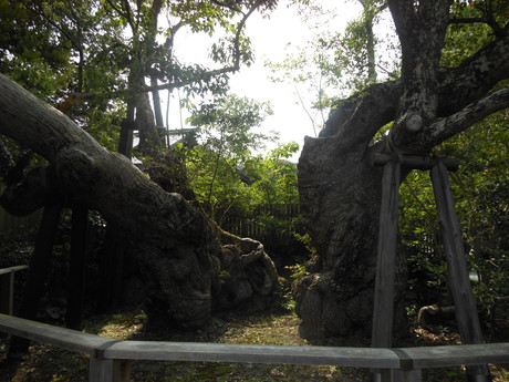 c0206177_8382093.jpg