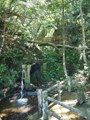 d0240983_21235898.jpg