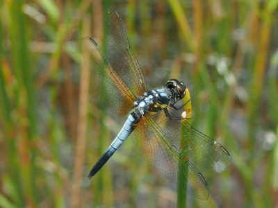 d0240983_21333998.jpg