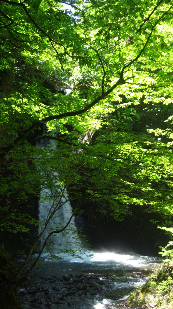 a0242984_12164155.jpg