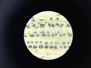 f0275885_035692.jpg