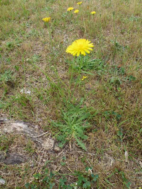 b0118987_550482.jpg
