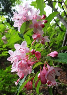c0018489_2323785.jpg