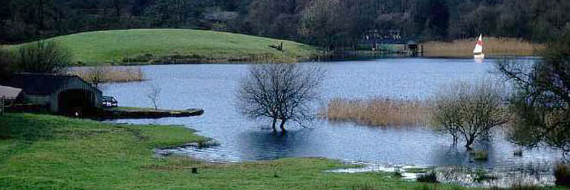 c0170789_10141690.jpg