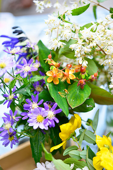 d0092089_20135100.jpg