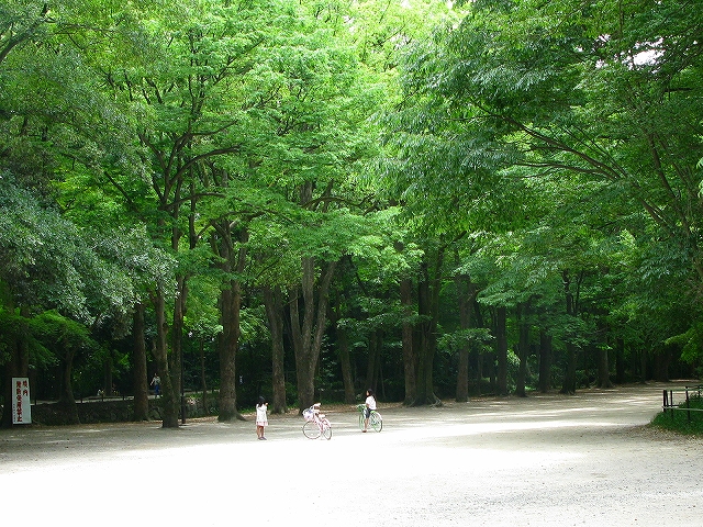 f0181394_20221372.jpg