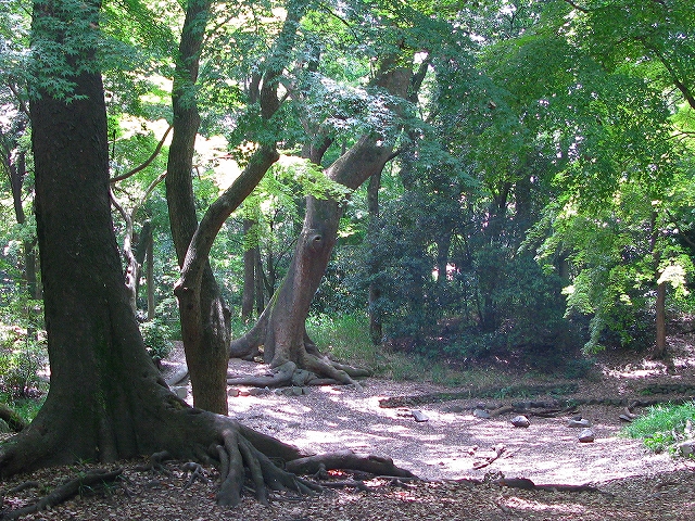 f0181394_20241490.jpg