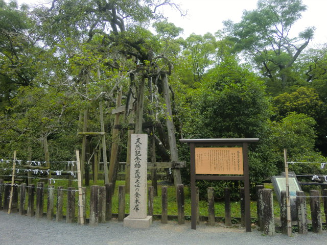b0044296_1005164.jpg