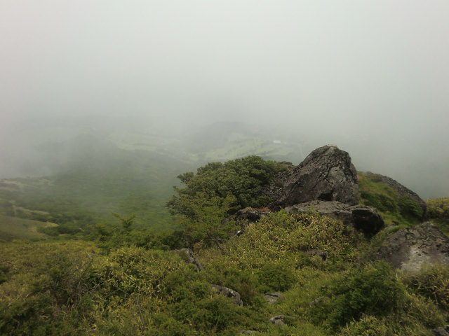 b0044296_1012242.jpg