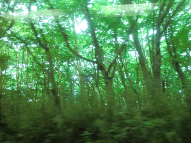 b0044296_9541024.jpg