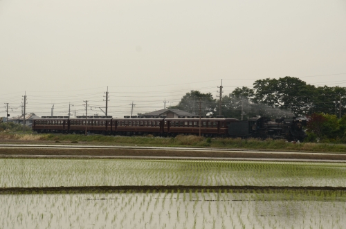 c0238996_23221146.jpg
