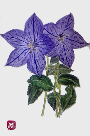 f0008597_18165214.jpg