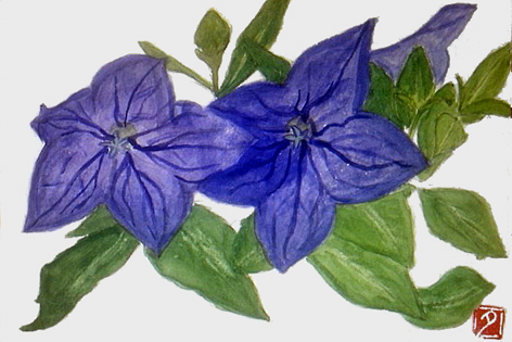 f0008597_1817030.jpg