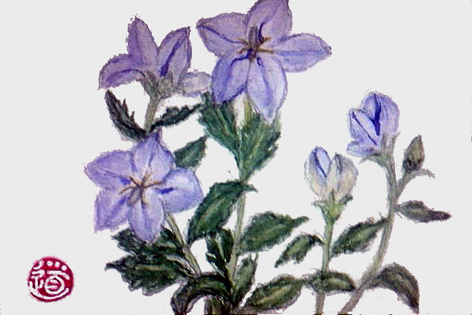 f0008597_1817512.jpg