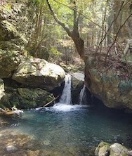 e0115301_13345983.jpg