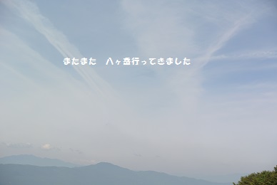 a0134004_1773263.jpg