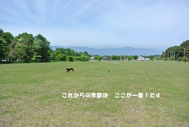 a0134004_1773878.jpg