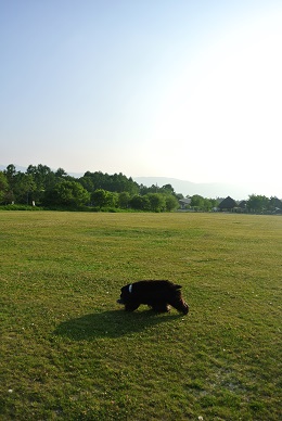 a0134004_1782753.jpg