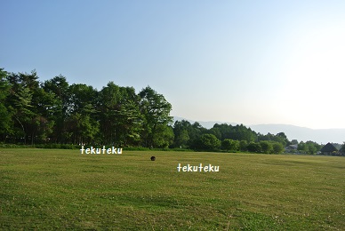 a0134004_1794518.jpg