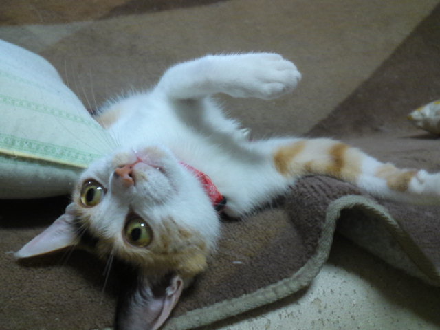 a0206019_933712.jpg