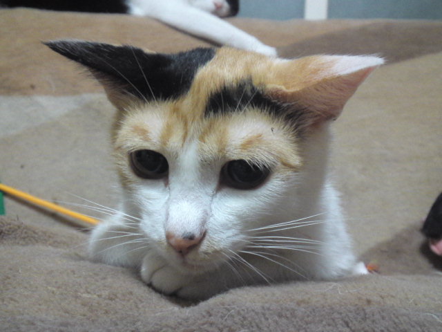 a0206019_933765.jpg
