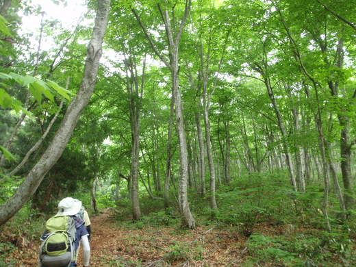 c0223019_2345469.jpg