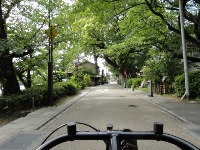 c0189724_20391518.jpg