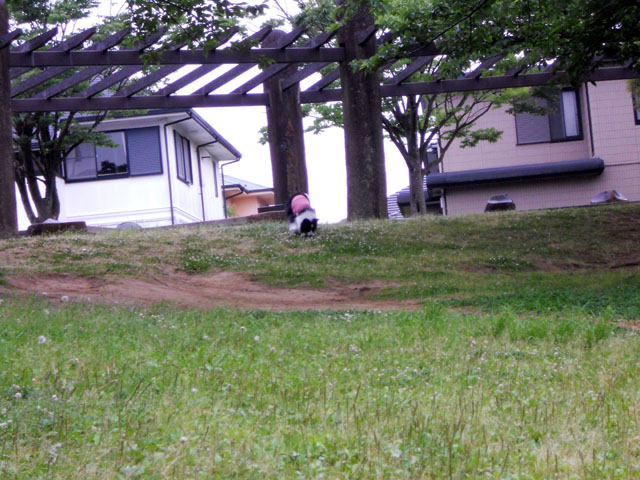 d0059230_8281383.jpg