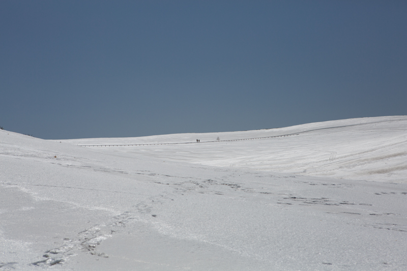 c0216331_23195235.jpg