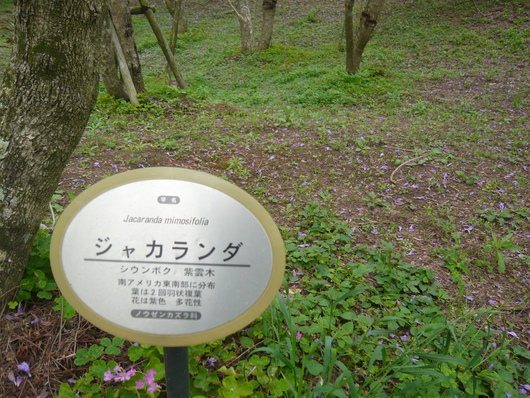 a0206332_7262429.jpg