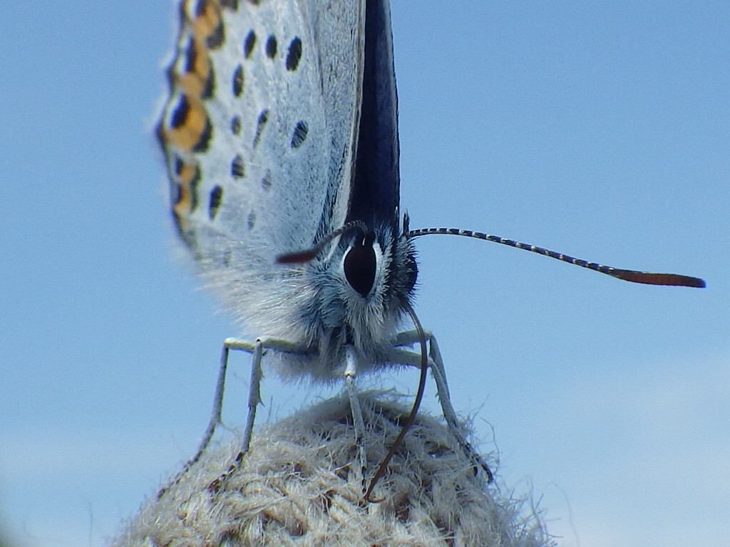 f0118332_2383172.jpg