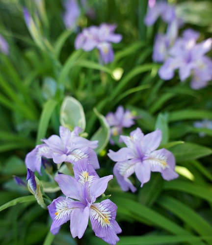 f0205733_0291424.jpg