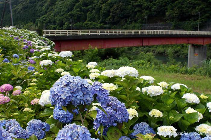 e0083238_1201111.jpg