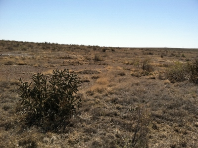 e0104941_5505527.jpg