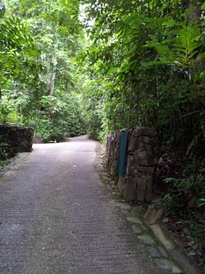 d0142048_15193670.jpg