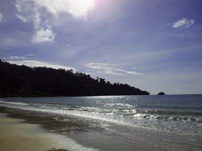 d0142048_1720062.jpg