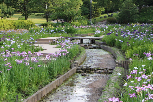 f0245650_828528.jpg
