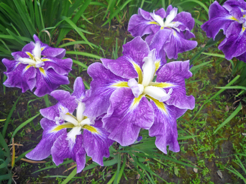 b0045357_12382177.jpg