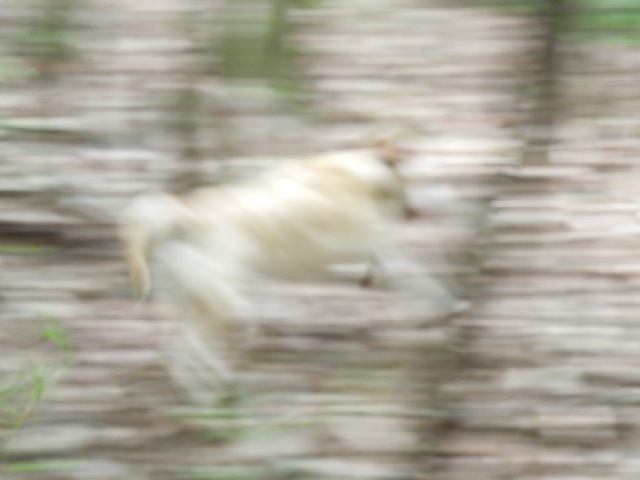 f0177261_23161437.jpg