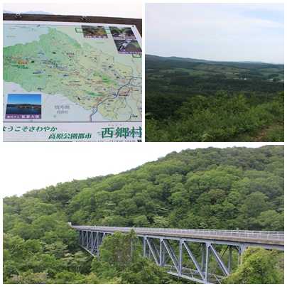 e0330372_8102056.jpg