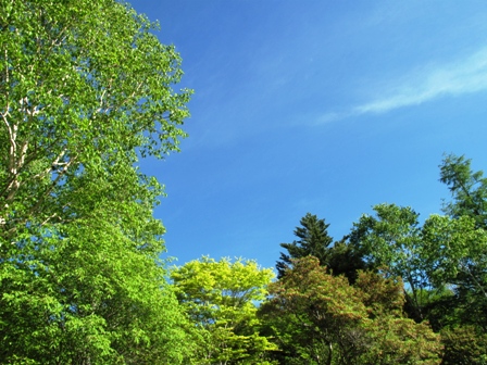 a0077673_21584239.jpg