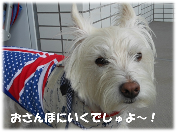 b0242873_0134877.png