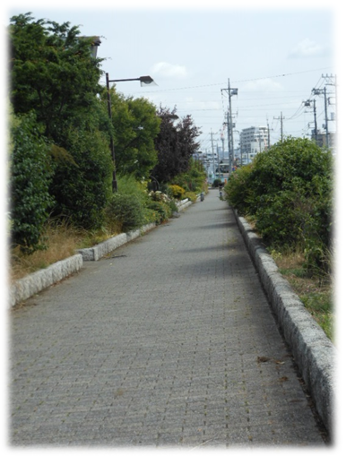 b0242873_0182230.png