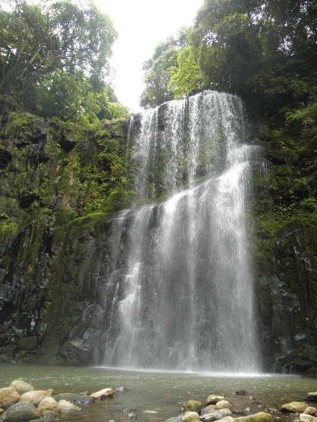 f0101679_044955.jpg