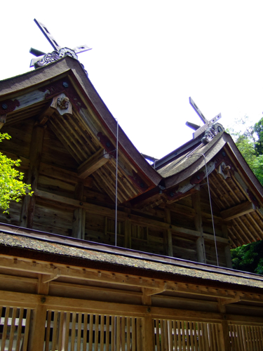 a0105480_16131343.jpg