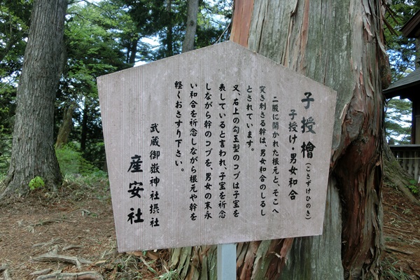 a0229180_1057117.jpg