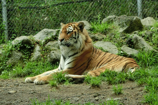 a0229180_12223252.jpg