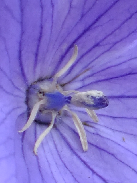 e0145782_9534336.jpg