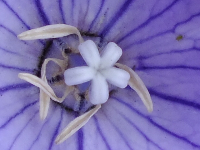 e0145782_9542658.jpg
